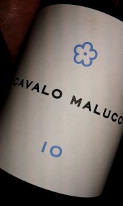 cavalo maluco